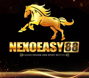 nexoeasy88